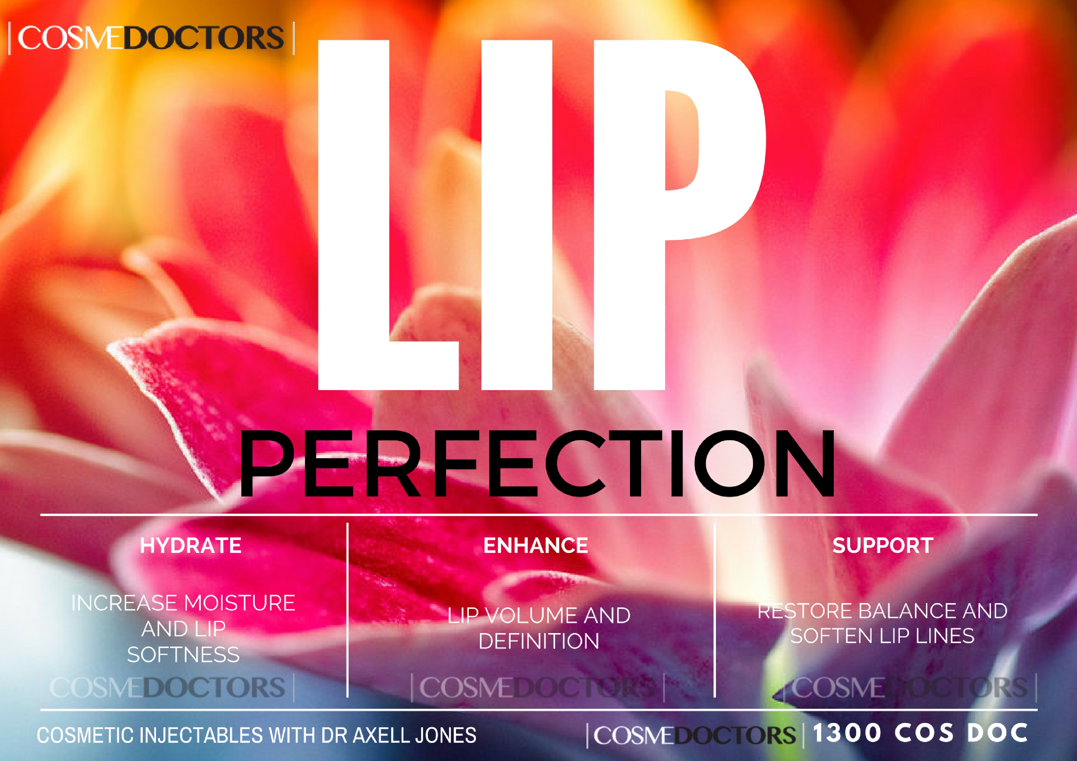 LIP-PERFECTION-A4